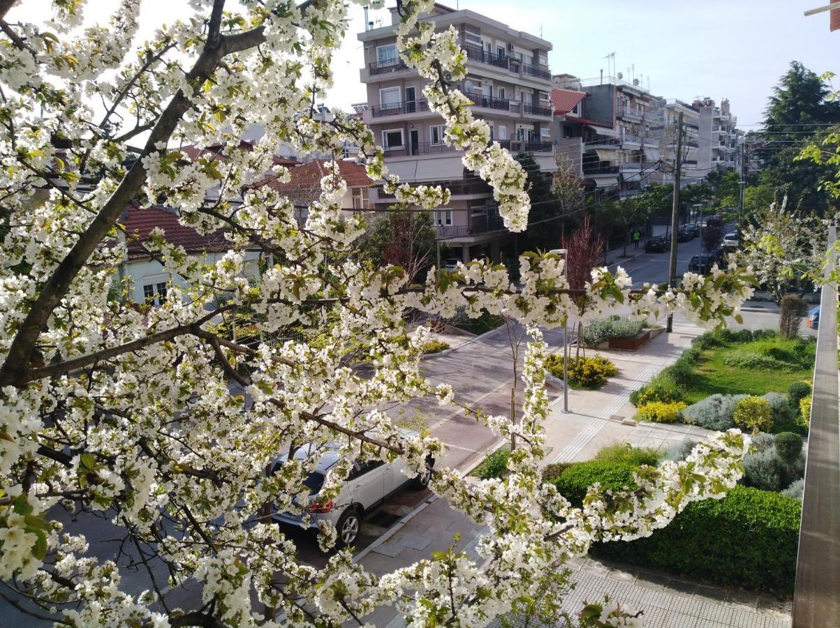 Olympia Otel Vodina Dış mekan fotoğraf